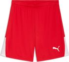 teamLIGA26 Shorts