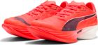 Fast-r Nitro Elite 3 Wns