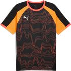 Individualliga Graphic Jersey