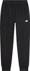 Womens TNF Performance Fleece SW Pant