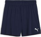Teamgoal Shorts Jr