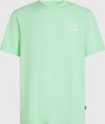 O'neill Box Logo T-shirt