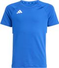 Volleyball Hilo Shorts Sleeve Jersey Youth