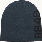 Asp Beanie
