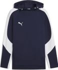Teamevostripe Hoody