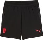 ACM Training Shorts W/Pocket Jr