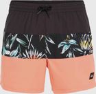 MIX & Match Cali Block 15'' Swim Shorts