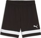 Individualrise Shorts Jr