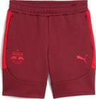 RBS Evostripe Shorts