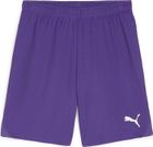 Teamgoal LS Jersey Jr