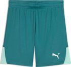 teamLIGA26 Shorts