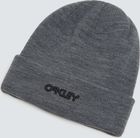 B1B Logo Beanie