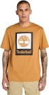 Mens Colored Short Sleeve Tee