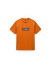 S-box Logo Softshell