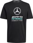 Mercedes - AMG Petronas Formula 1 Team DNA Graphic Tee Men