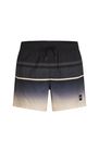 O'neill Gradient 15'' Swimshorts
