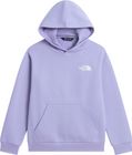 Teen Evolution Box NSE Pullover Hoodie