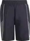 Color Block Woven Shorts