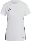 Tabela 23 Jersey