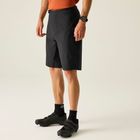 Descentshort