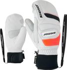Guardi-z Gtx+gore Plus Warm PR Mitt Glove man