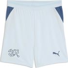 SFV Shorts Replica Jr