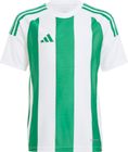 Striped 24 Jersey Kids