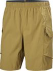 Vista Hike Cargo Shorts