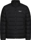 Wild Pass Down Jacket M RDS