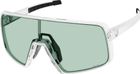Sunglasses Torica
