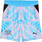SFV Shorts Replica