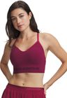 Vanish Seamless Low Bra