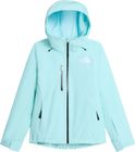 Womens Descendit Jacket
