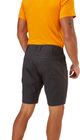 Radius Shorts