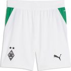 SFV Replica Match Jersey Concept GK