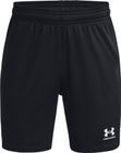 B's Ch. Knit Short