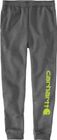 Relaxed Fit Midweight Tapered Graphic Joggers