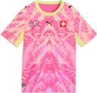 SFV Replica Match Jersey Concept GK Jr