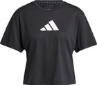 Workout Essentials Big Performance Logo Training T-shirt Women