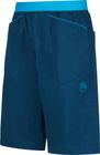 Flatanger Short Men
