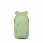 Daylite Plus