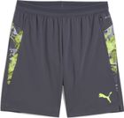 Individualcup Shorts