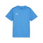 Teamgoal Jersey Jr