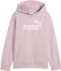 Essentials No 1 Logo Hoodie FL G