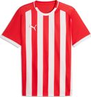 teamLIGA26 Striped Jersey