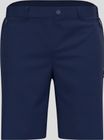 The Ascent Light Hiking Shorts