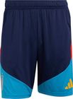 Spain 26 Tiro Training Shorts Men