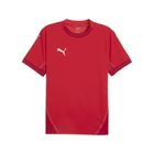 Teamfinal Jersey