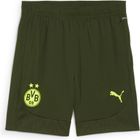 BVB Training Shorts