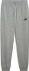 Essentials No 1 Logo Sweatpants TR cl